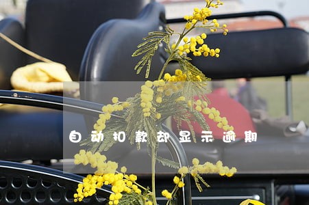 自动扣款却显示逾期