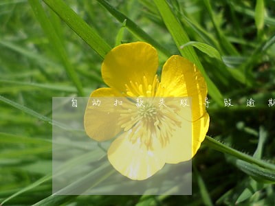 自动扣款失败导致逾期怎么办 自动扣款失败导致逾期怎么办