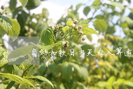 自动扣款日当天存入算逾期吗 自动扣款日当天存入算逾期吗