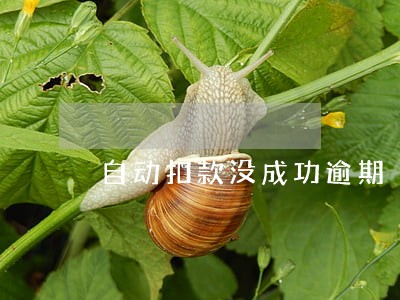 自动扣款没成功逾期 自动扣款没成功逾期