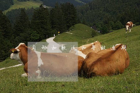 自动扣款没扣导致逾期
