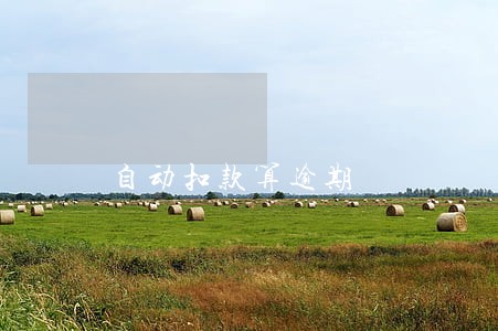 自动扣款算逾期 自动扣款算逾期