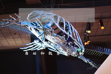 自动扣款算逾期吗 自动扣款算逾期吗