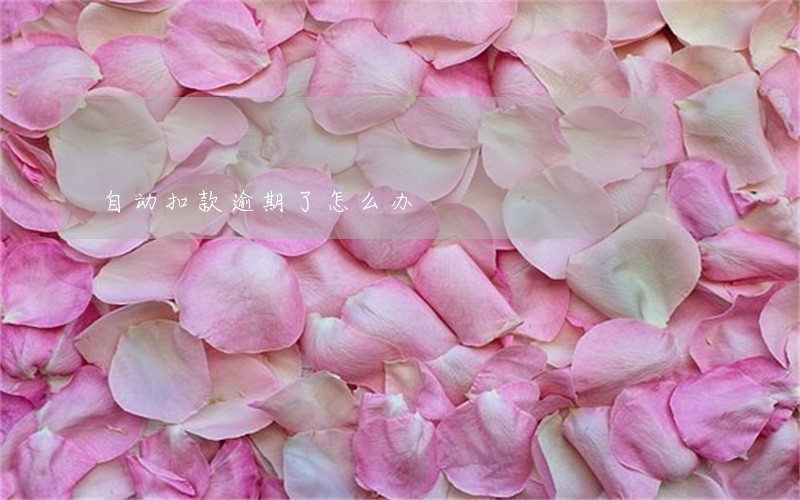 自动扣款逾期了怎么办 自动扣款逾期了怎么办