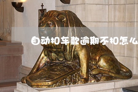 自动扣车款逾期不扣怎么办