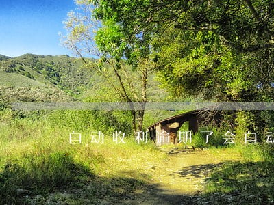 自动收利逾期了会自动扣款吗 自动收利逾期了会自动扣款吗
