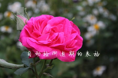 自动检测逾期的表格 自动检测逾期的表格