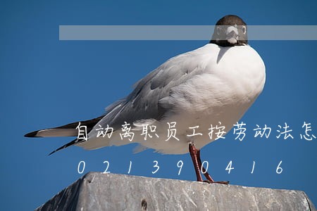自动离职员工按劳动法怎么处理/2023021390416 自动离职员工按劳动法怎么处理/2023021390416