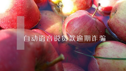 自动语音说货款逾期诈骗 自动语音说货款逾期诈骗