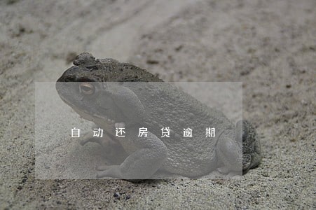 自动还房贷逾期 自动还房贷逾期