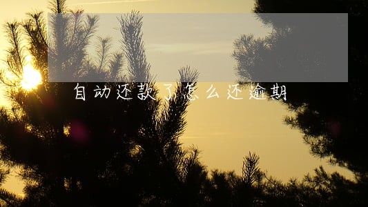 自动还款了怎么还逾期 自动还款了怎么还逾期