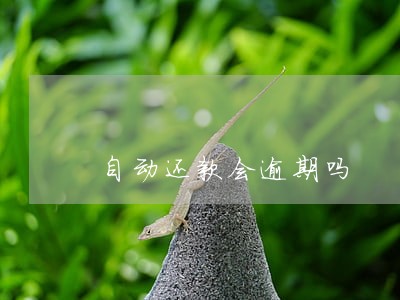 自动还款会逾期吗 自动还款会逾期吗