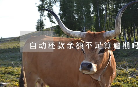 自动还款余额不足算逾期吗 自动还款余额不足算逾期吗
