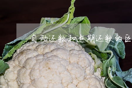 自动还款和逾期还款的区别 自动还款和逾期还款的区别
