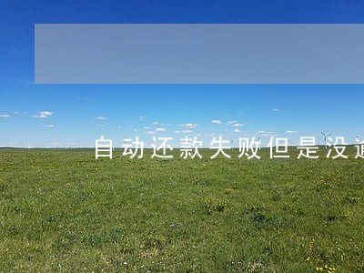 自动还款失败但是没逾期 自动还款失败但是没逾期