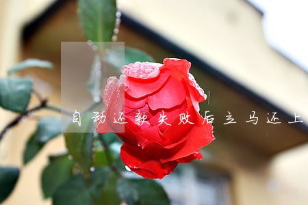 自动还款失败后立马还上算逾期吗 自动还款失败后立马还上算逾期吗