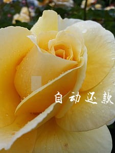 自动还款失败当天还算逾期吗 自动还款失败当天还算逾期吗