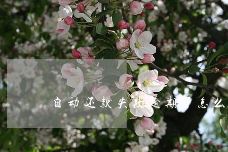 自动还款失败逾期了怎么申诉 自动还款失败逾期了怎么申诉