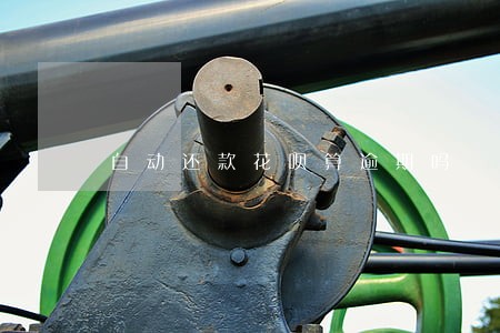自动还款花呗算逾期吗 自动还款花呗算逾期吗