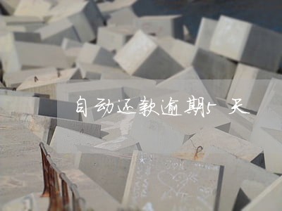 自动还款逾期5天 自动还款逾期5天