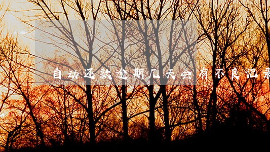 自动还款逾期几天会有不良记录 自动还款逾期几天会有不良记录