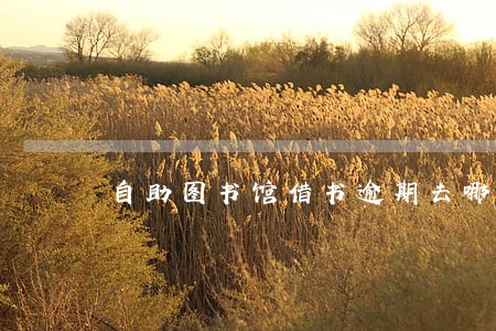 自助图书馆借书逾期去哪交罚款 自助图书馆借书逾期去哪交罚款