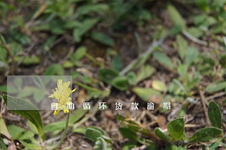 自助循环货款逾期