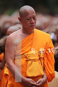 自助钱包逾期一天 自助钱包逾期一天