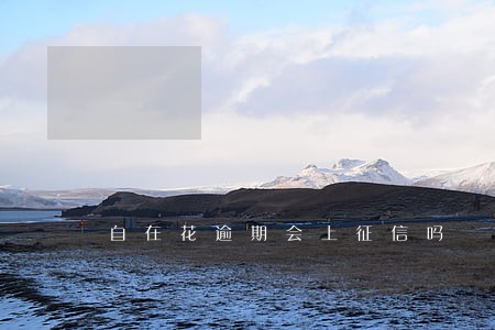 自在花逾期会上征信吗 自在花逾期会上征信吗
