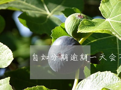 自如分期逾期一天会不会有影响 自如分期逾期一天会不会有影响