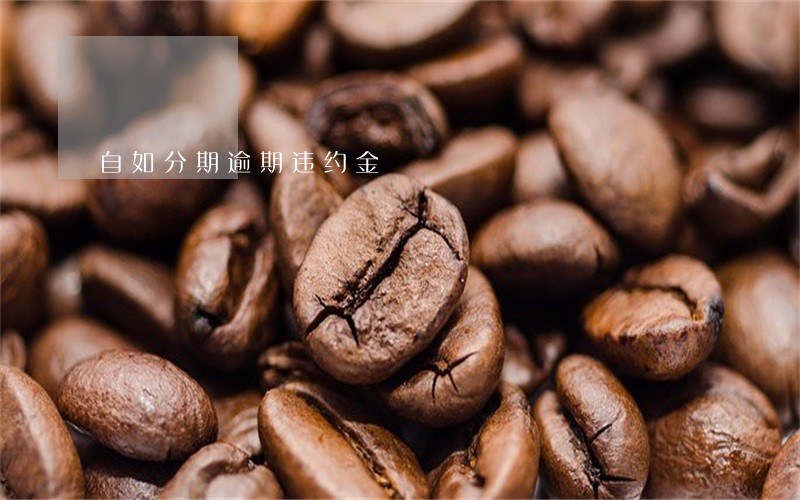 自如分期逾期违约金 自如分期逾期违约金