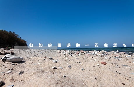 自如房租逾期一天会怎么样 自如房租逾期一天会怎么样