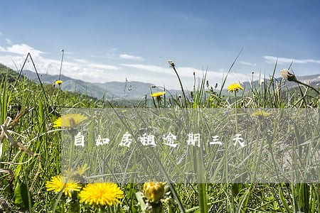 自如房租逾期三天 自如房租逾期三天
