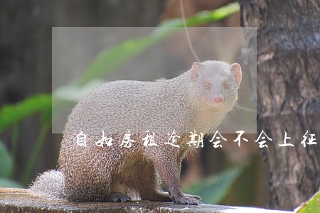 自如房租逾期会不会上征信 自如房租逾期会不会上征信