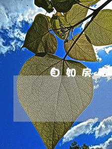 自如房租逾期没提醒 自如房租逾期没提醒