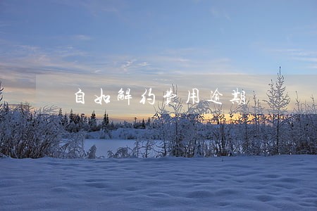 自如解约费用逾期 自如解约费用逾期