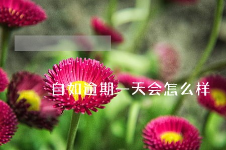 自如逾期一天会怎么样 自如逾期一天会怎么样