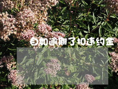 自如逾期了扣违约金 自如逾期了扣违约金