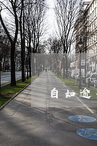 自如逾期会上征信吗 自如逾期会上征信吗