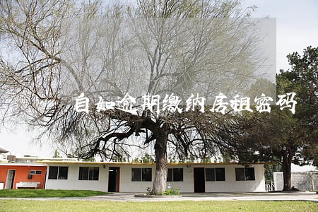 自如逾期缴纳房租密码