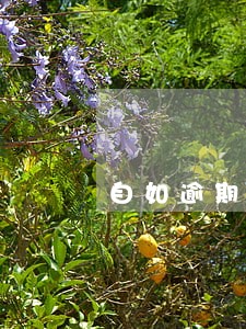 自如逾期账单不交 自如逾期账单不交