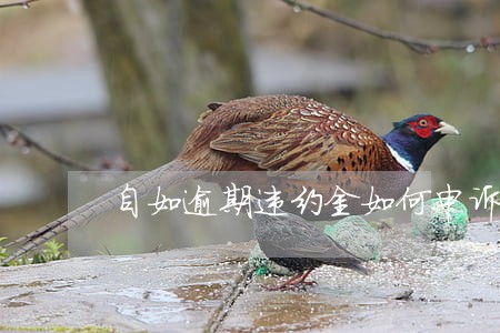 自如逾期违约金如何申诉 自如逾期违约金如何申诉