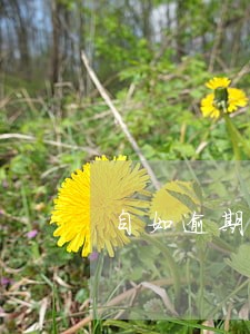 自如逾期违约金账单 自如逾期违约金账单