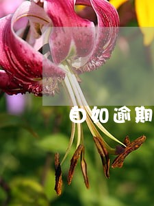 自如逾期门锁冻结怎么解除 自如逾期门锁冻结怎么解除
