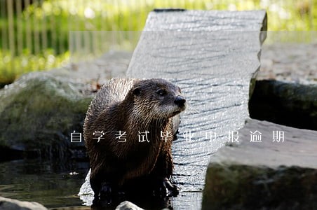 自学考试毕业申报逾期 自学考试毕业申报逾期