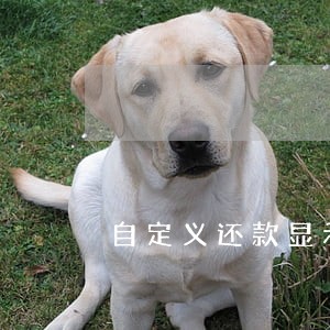 自定义还款显示逾期 自定义还款显示逾期