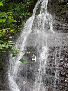 自家人工家养山鸡带下广东违法吗 自家人工家养山鸡带下广东违法吗