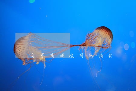 自家商铺被司法拍卖 自家商铺被司法拍卖