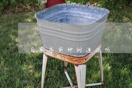 自家房前种树违法吗 自家房前种树违法吗