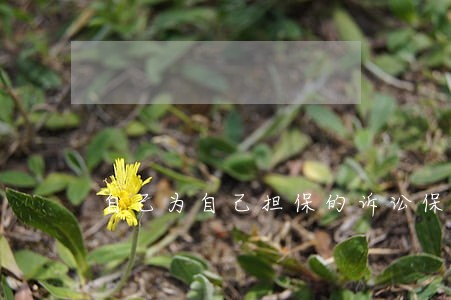 自己为自己担保的诉讼保全书范文 自己为自己担保的诉讼保全书范文